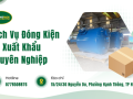 Dịch Vụ Đóng Kiện Gỗ Xuất Khẩu Chuyên Nghiệp