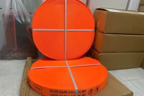 Dây Vải Chịu Lực Polyester – Dây Lashing Cho Hàng Siêu Trường
